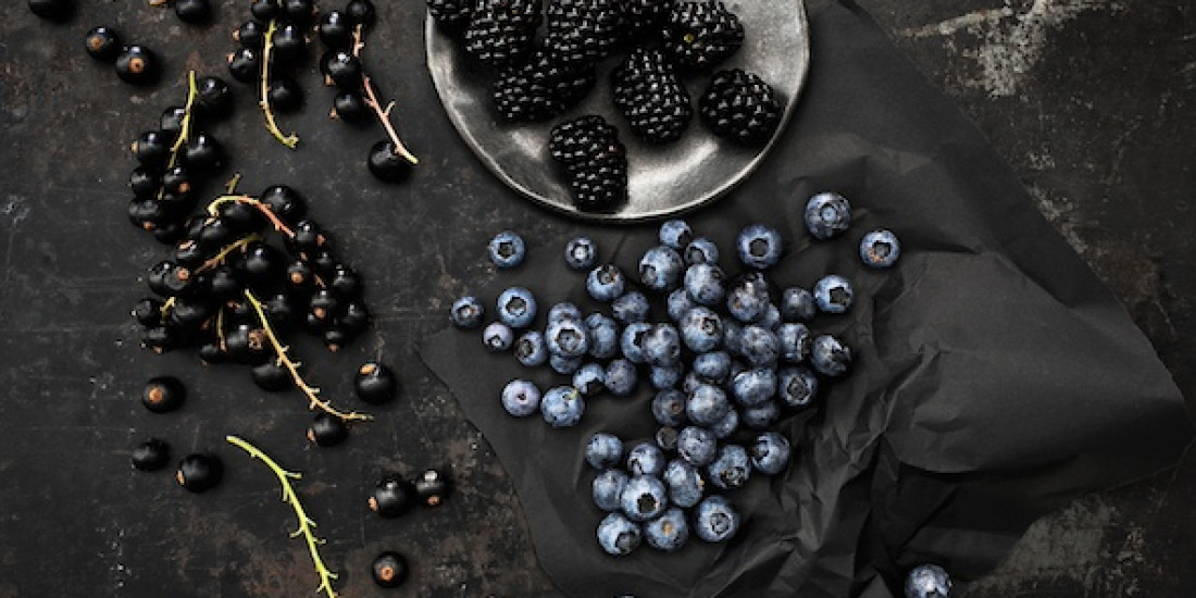 Beeren feinschnabel WEB