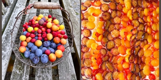 zwetschgekuchen 
